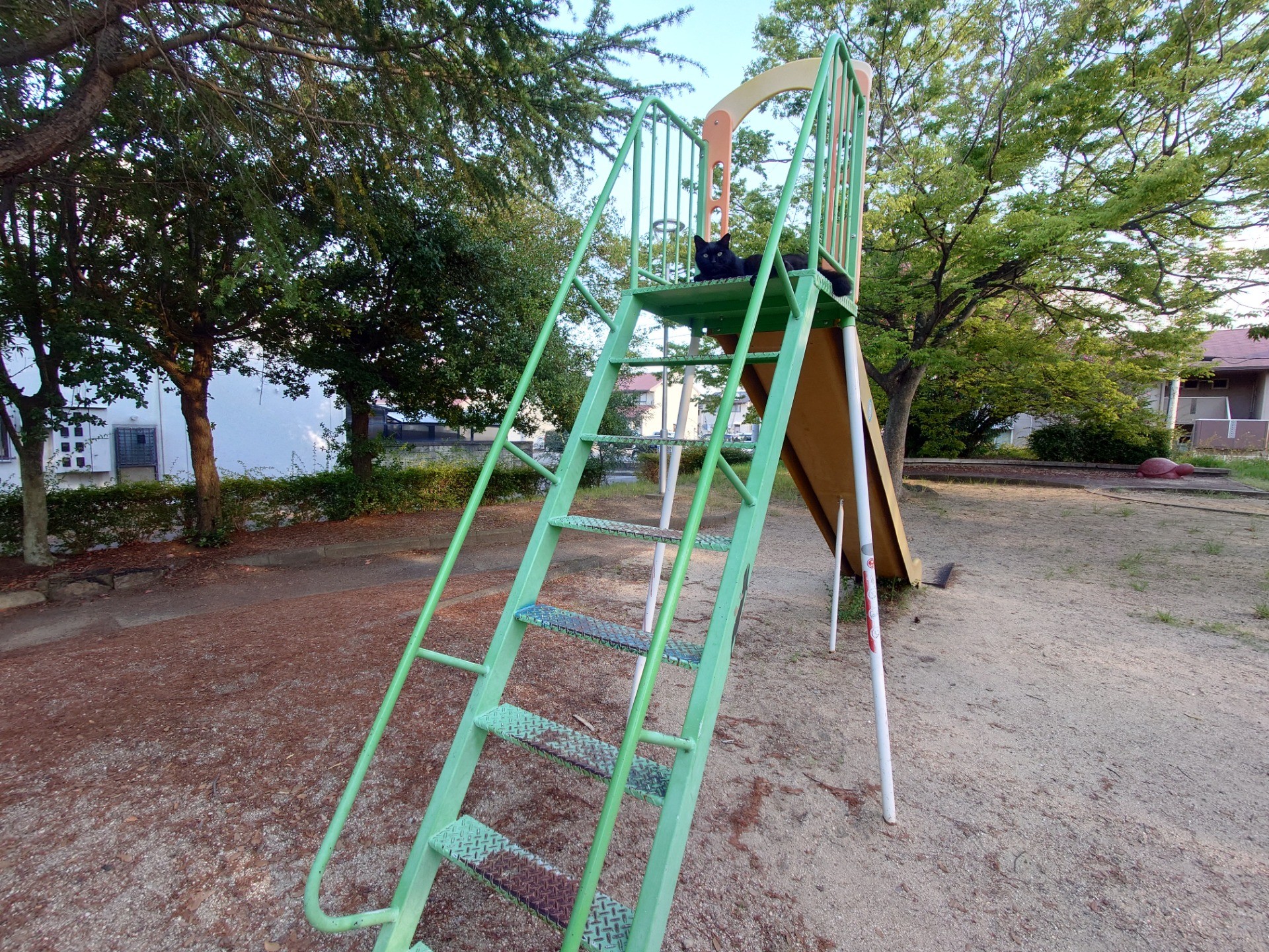 おうちは公園