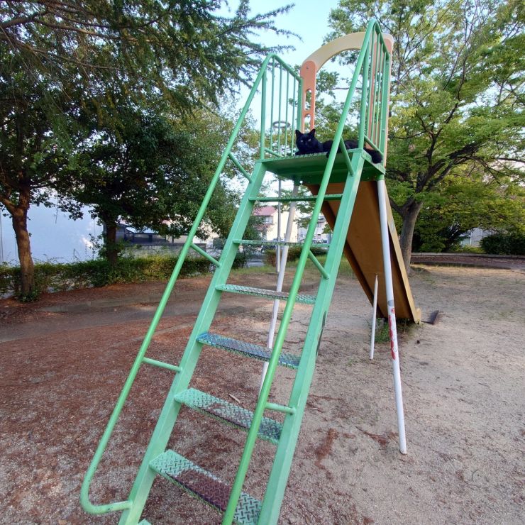 おうちは公園