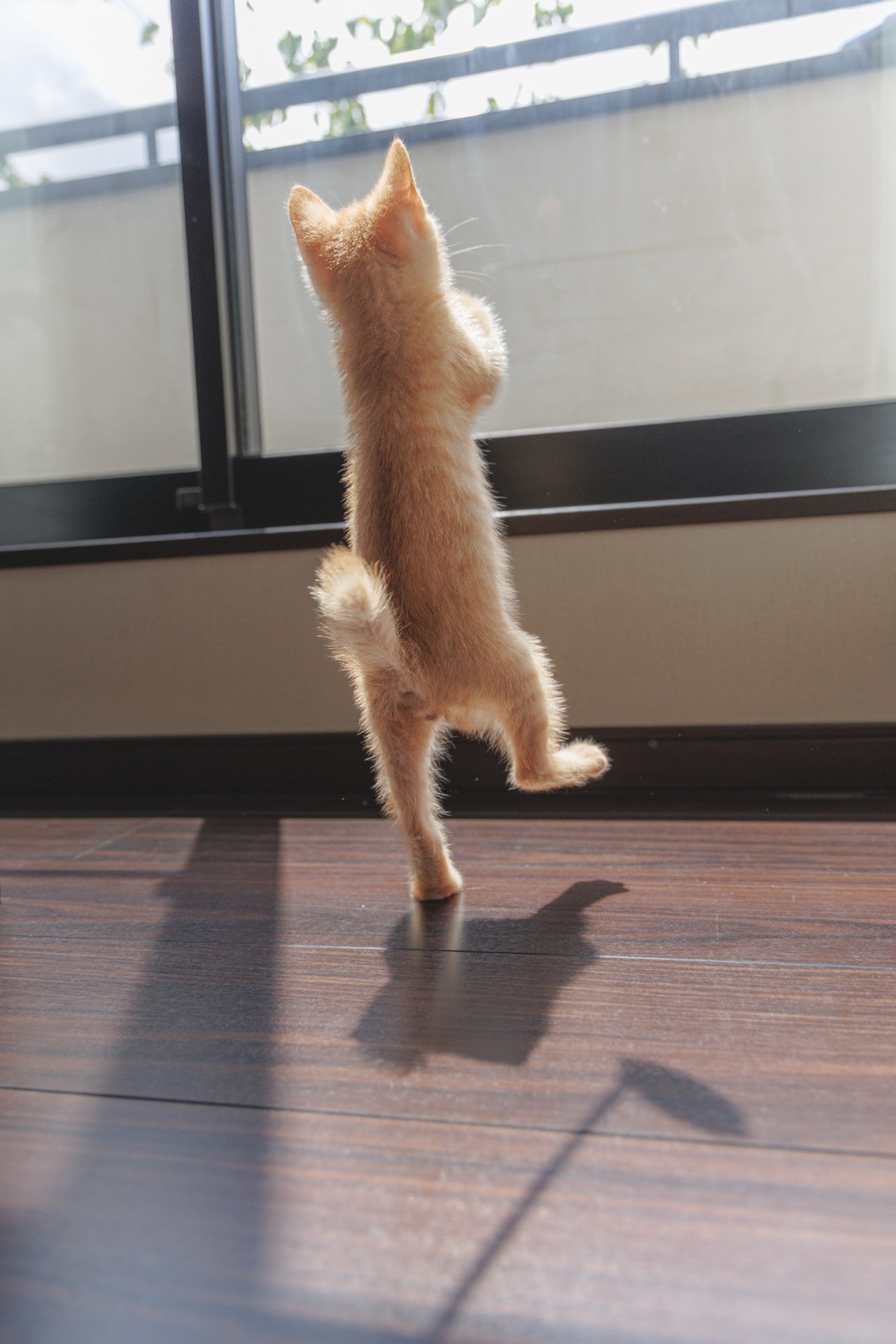幸せになってね