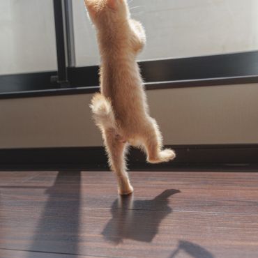 幸せになってね