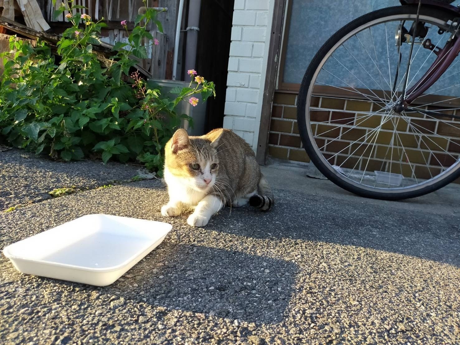 路地裏の少年