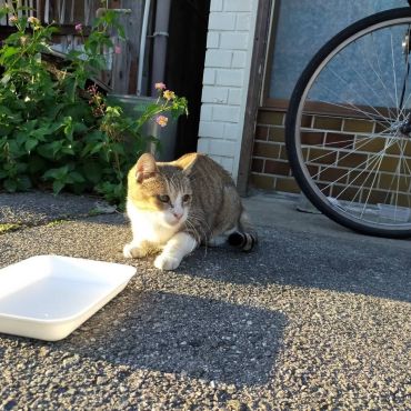路地裏の少年