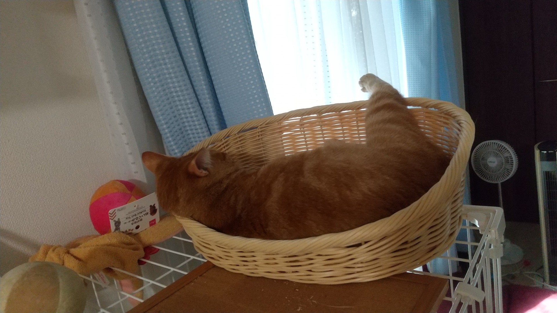 あんよ
