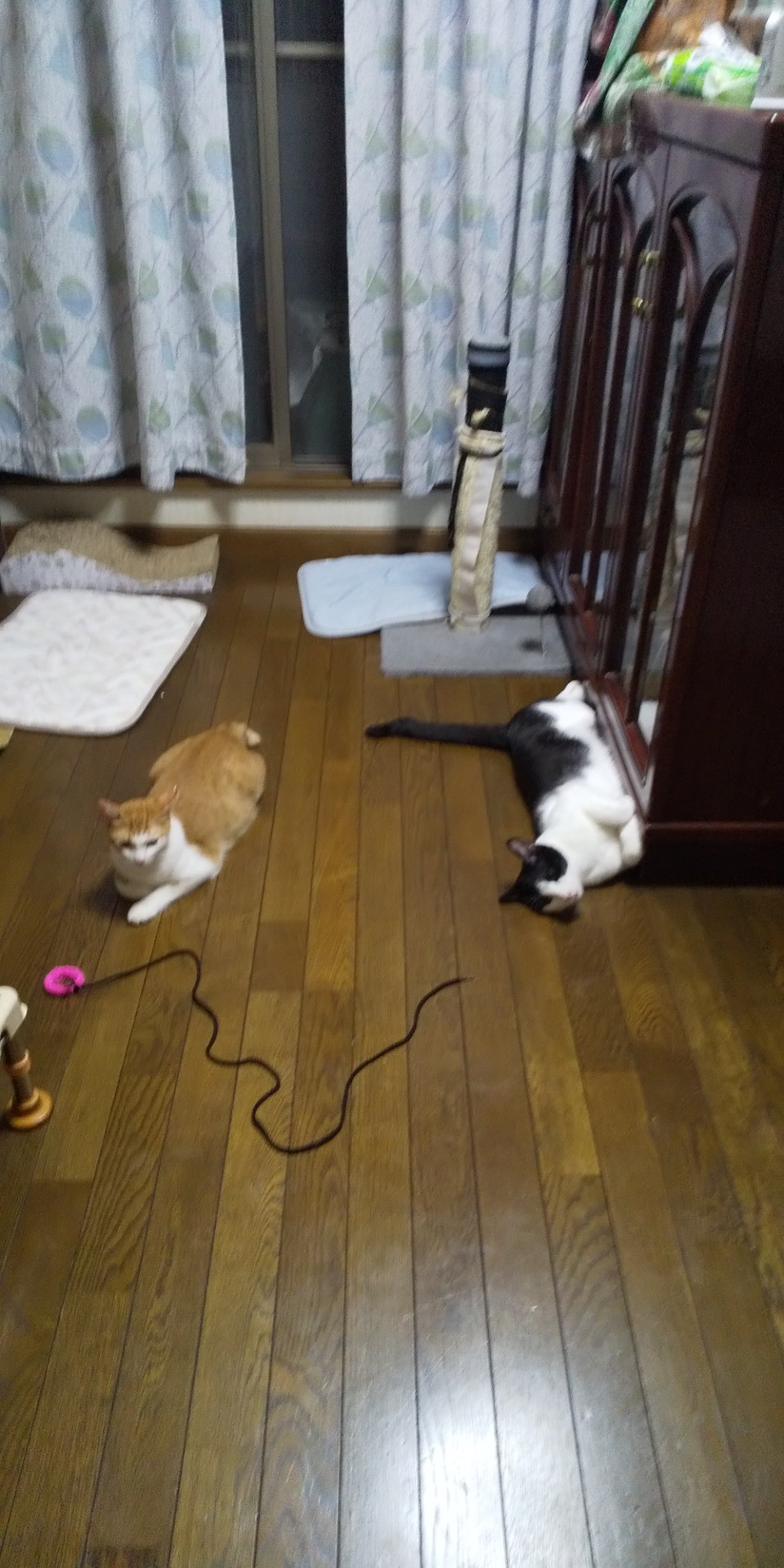 くつろぎ