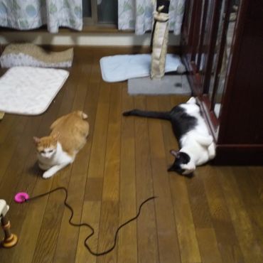 くつろぎ