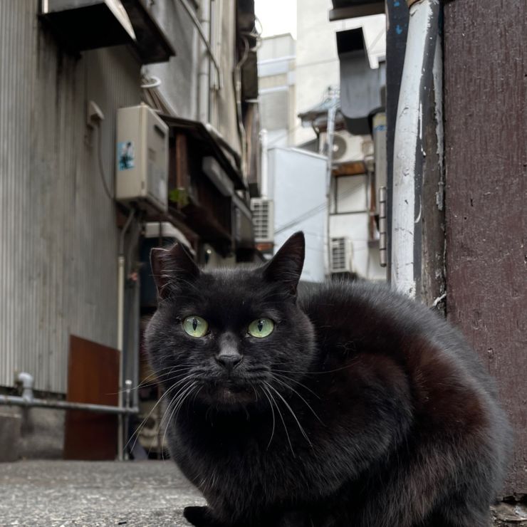 ここは僕のテリトリー