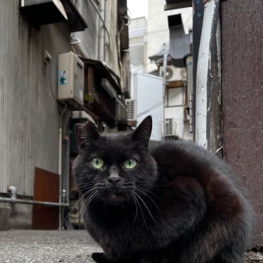 ここは僕のテリトリー