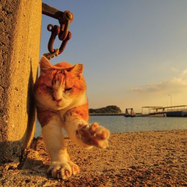 今日も良い１日でした