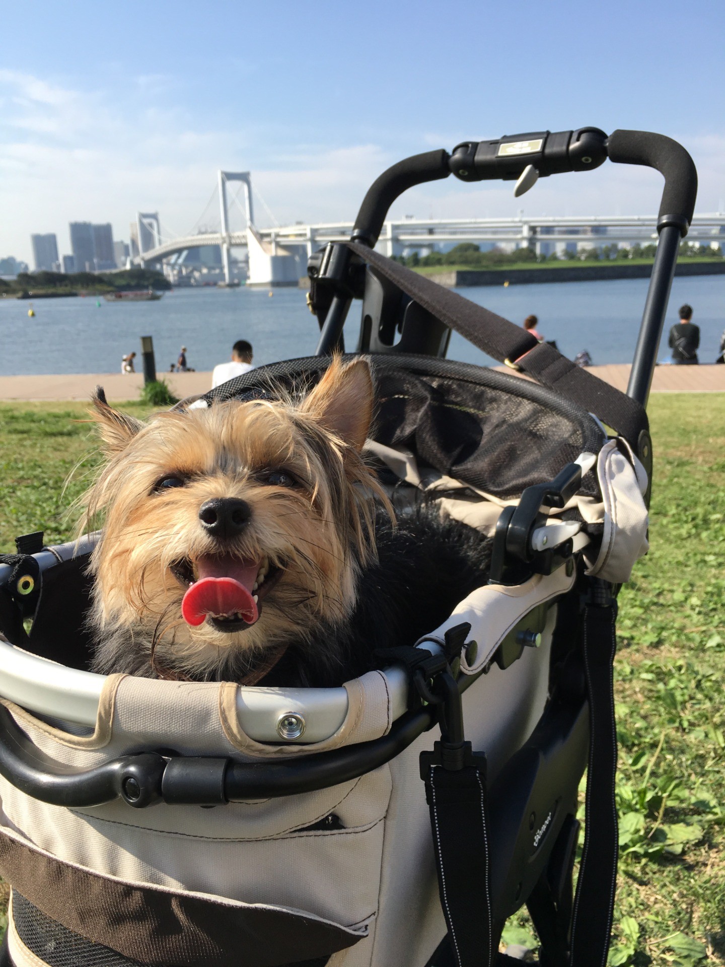 お出かけ大好き！