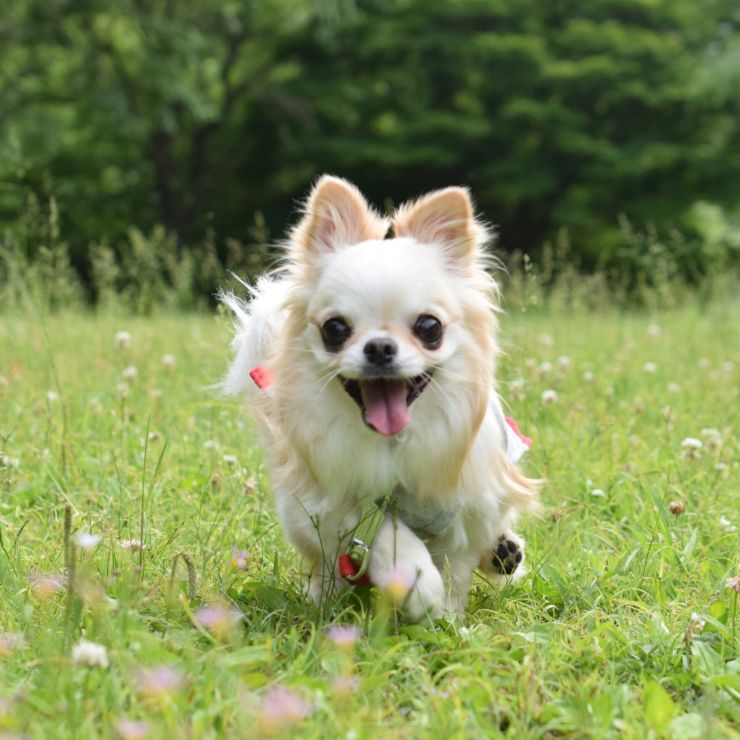 今、行くよ！