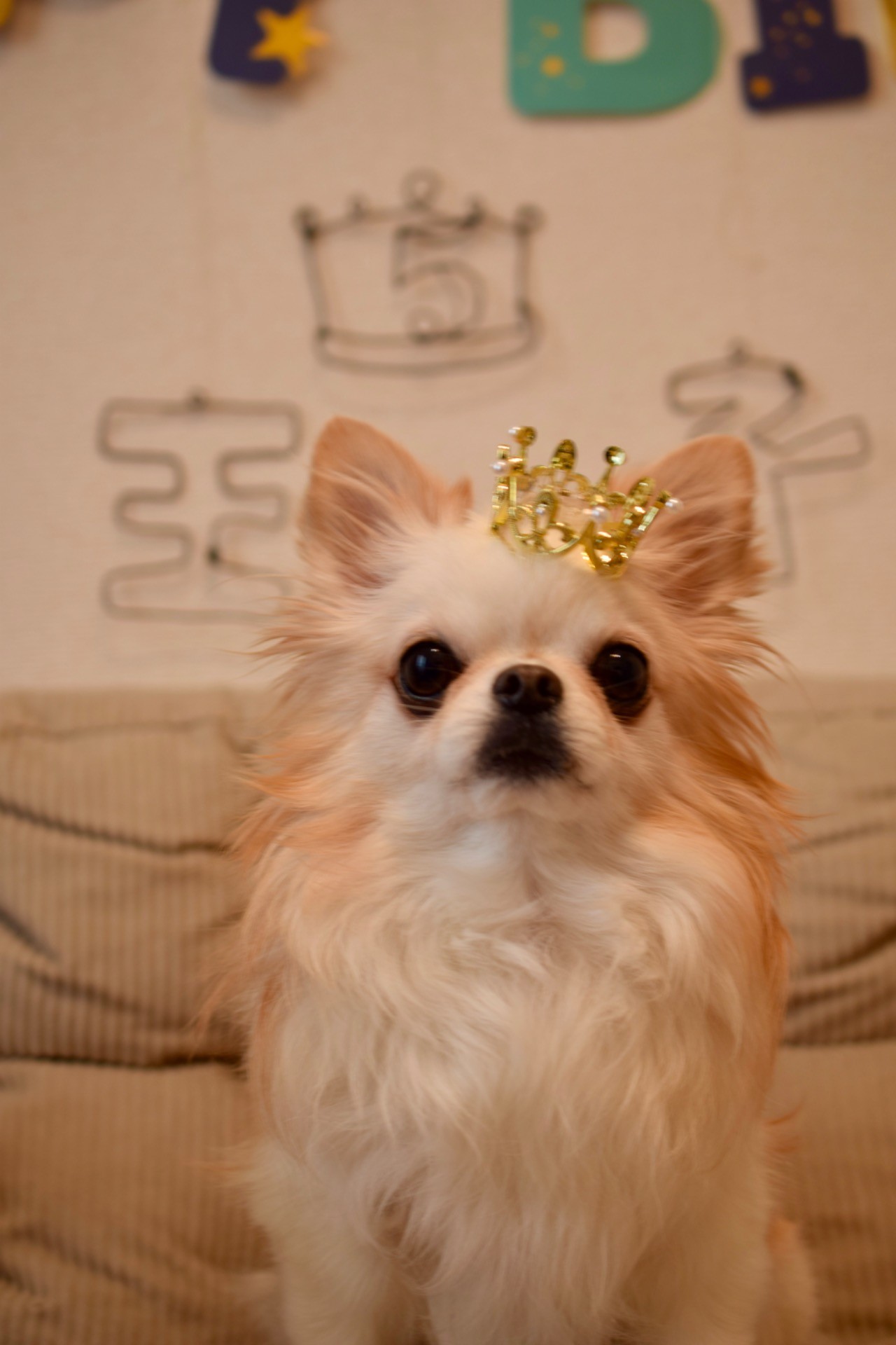 Happy Birthday 王子！