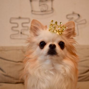 Happy Birthday 王子！