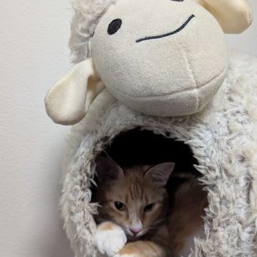 僕の大好きな隠れ家♪