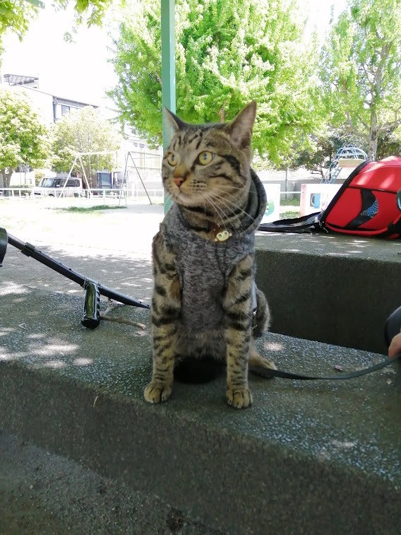 大好きな公園散歩♪