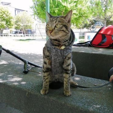 大好きな公園散歩♪