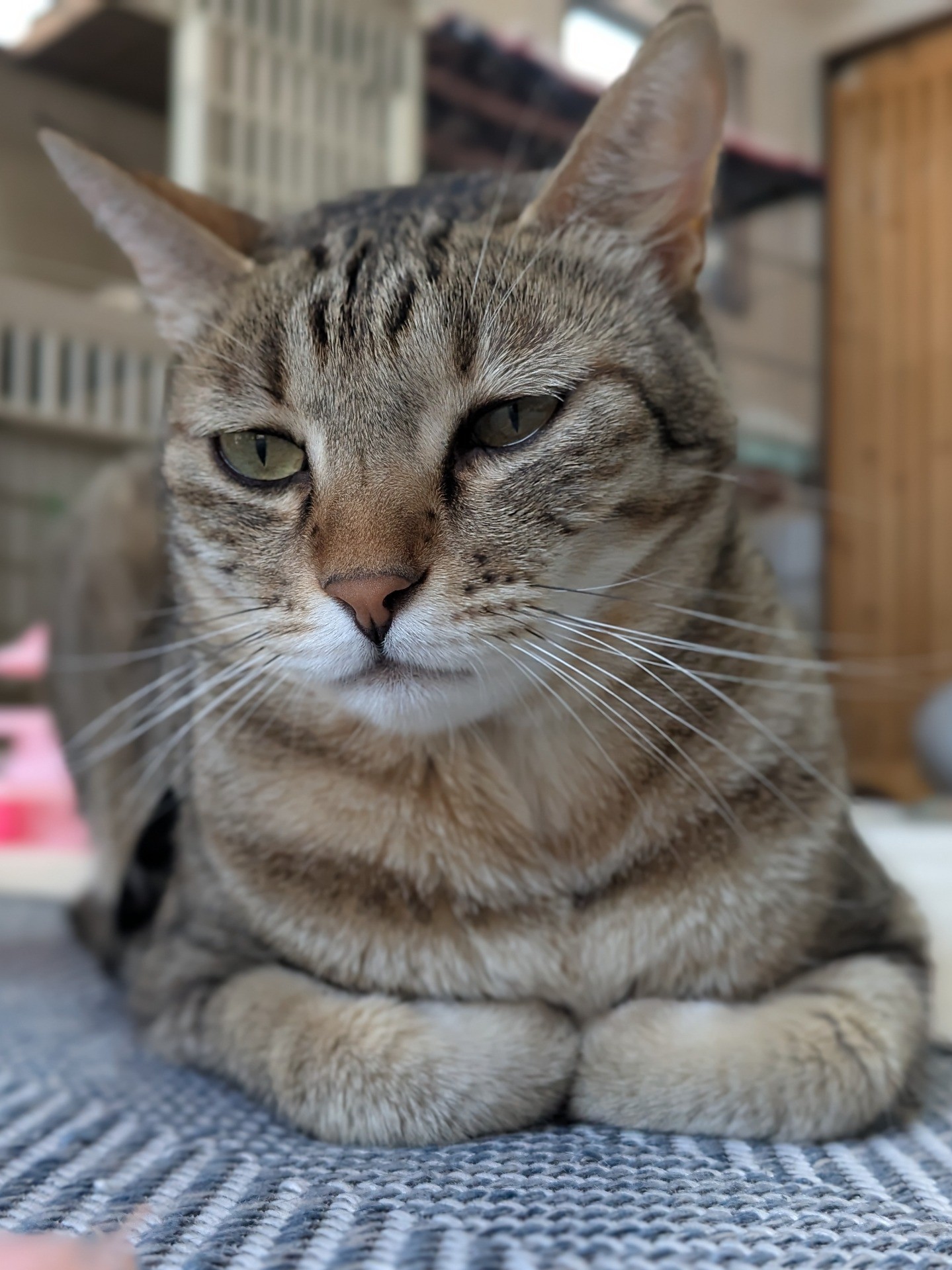 リカの憂鬱。