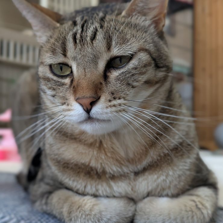 リカの憂鬱。