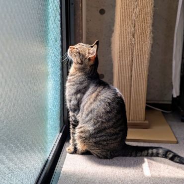 太陽エネルギーチャージ中？