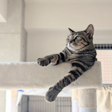 ひと仕事終えたあと。