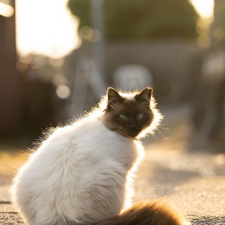 今日もおつかれさま
