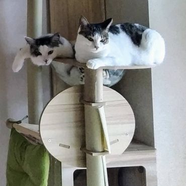 いのちを絆いで幸せになった！
