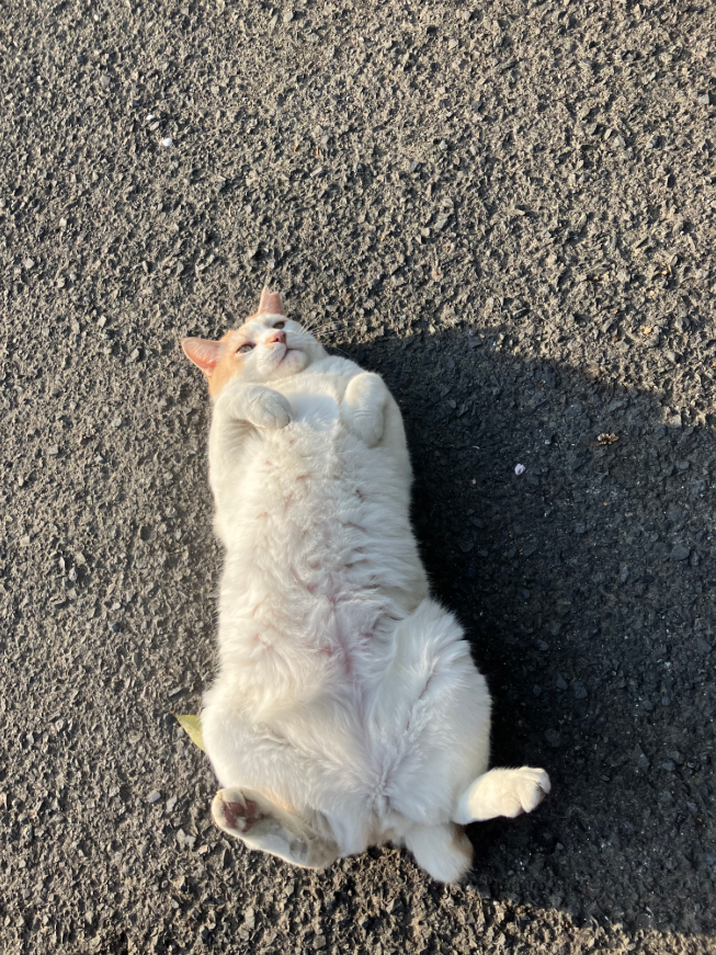 ぽかぽか警備ゼロ