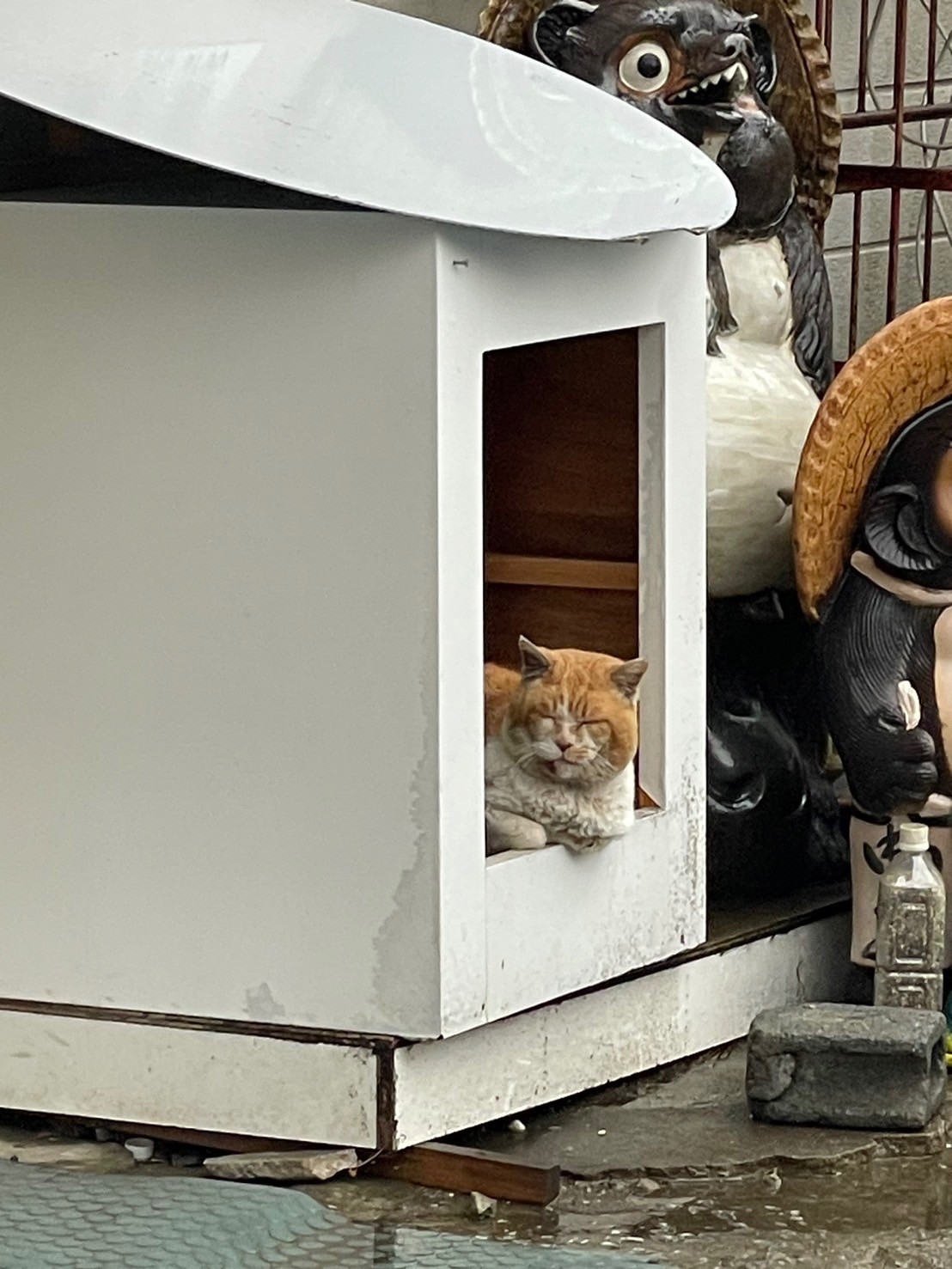 オレんち