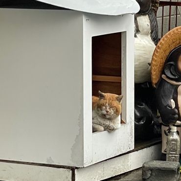 オレんち
