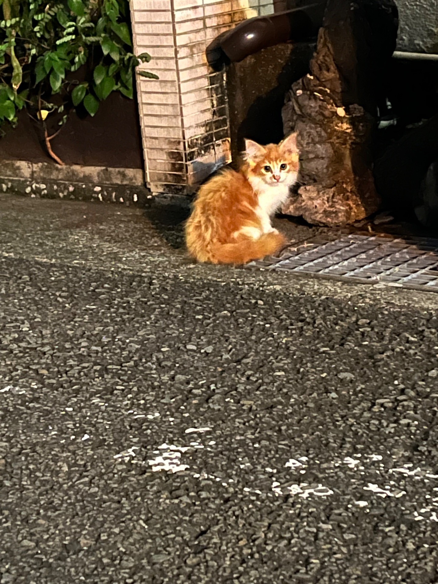 幸せを自分から