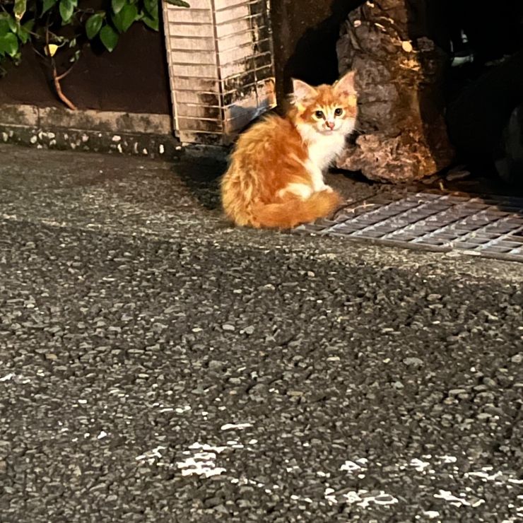 幸せを自分から