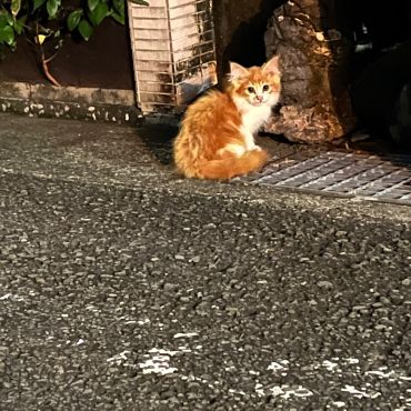 幸せを自分から