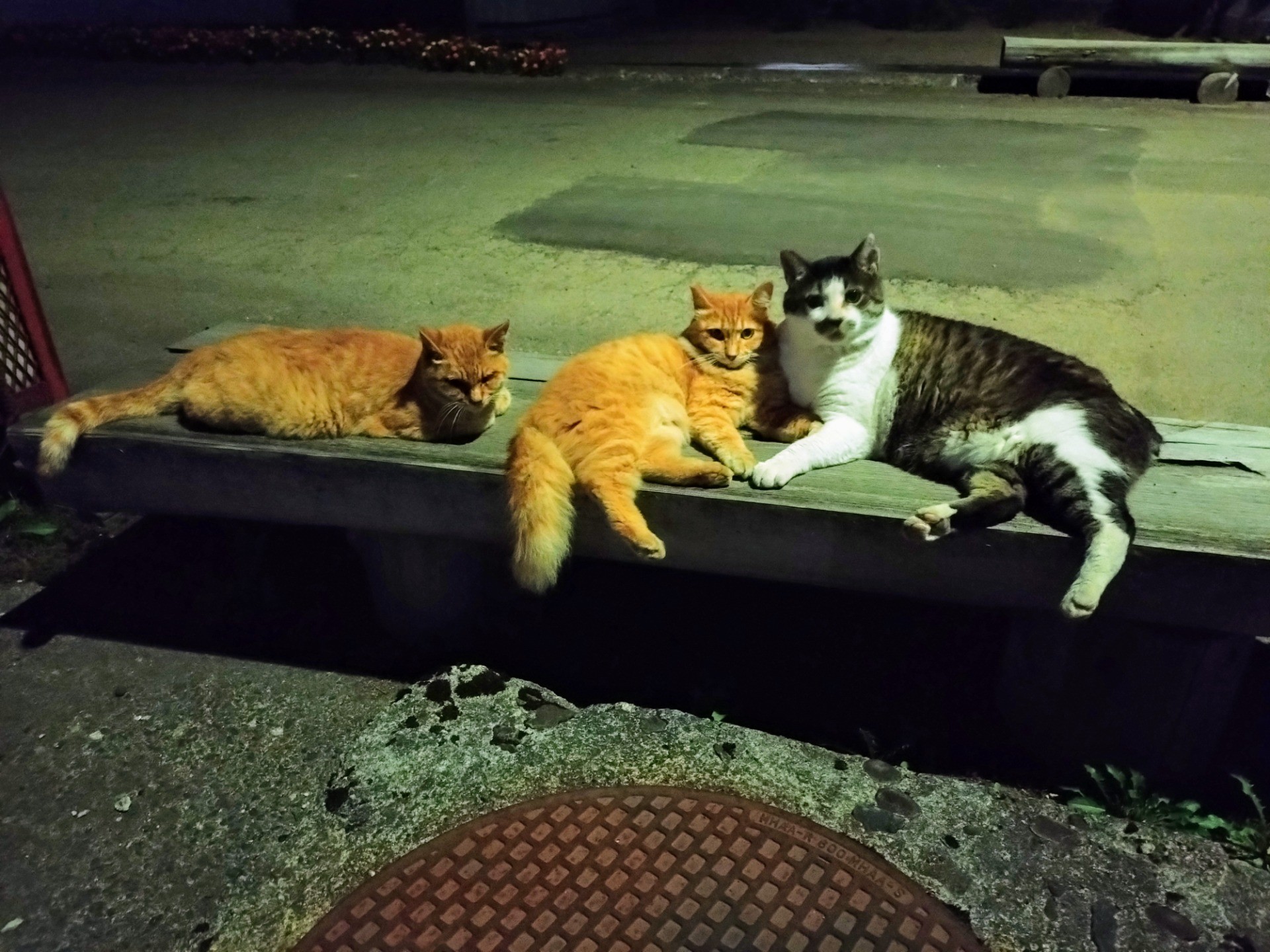 夏の夜