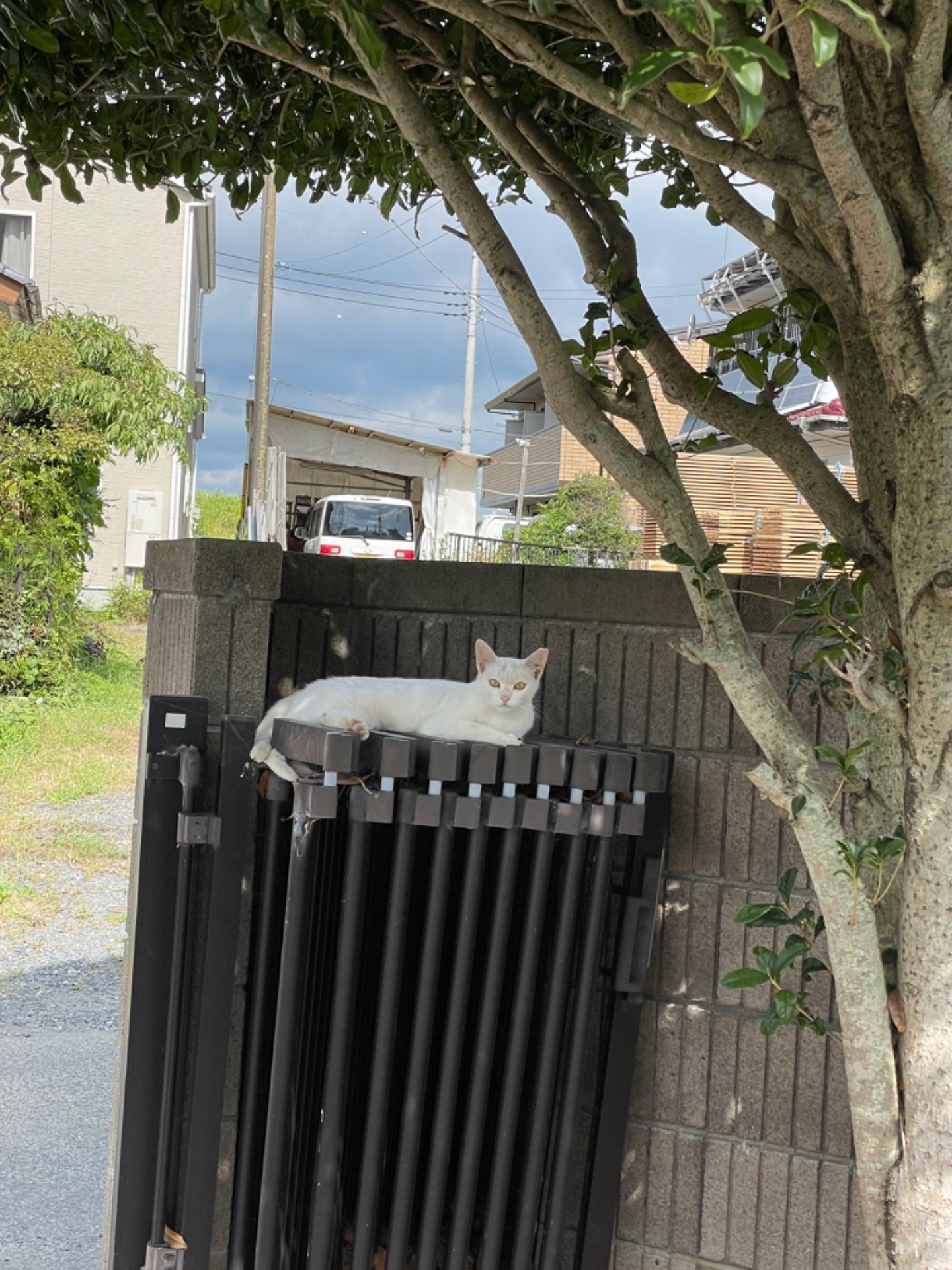 暑い夏の涼しみ方