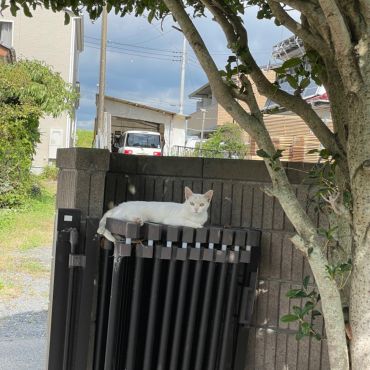 暑い夏の涼しみ方