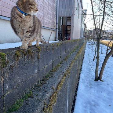 雪の中をパトロール