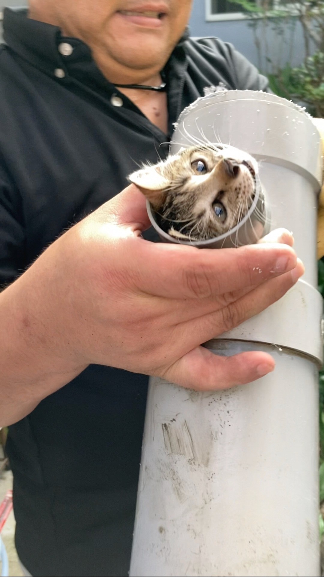 写真撮ってんと、はよ出してくれっちゅうねん！