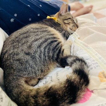 甘えん坊の添い寝好き