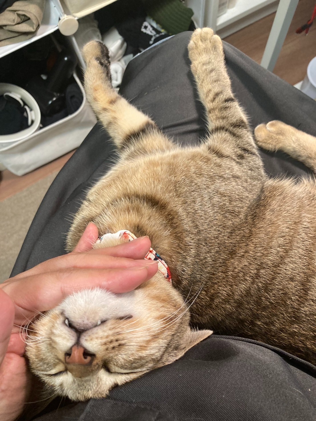 長くかかった分、とびきりの幸せを掴んでくれました