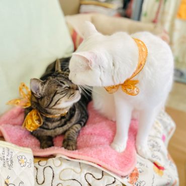 ライバル関係からLOVEに！