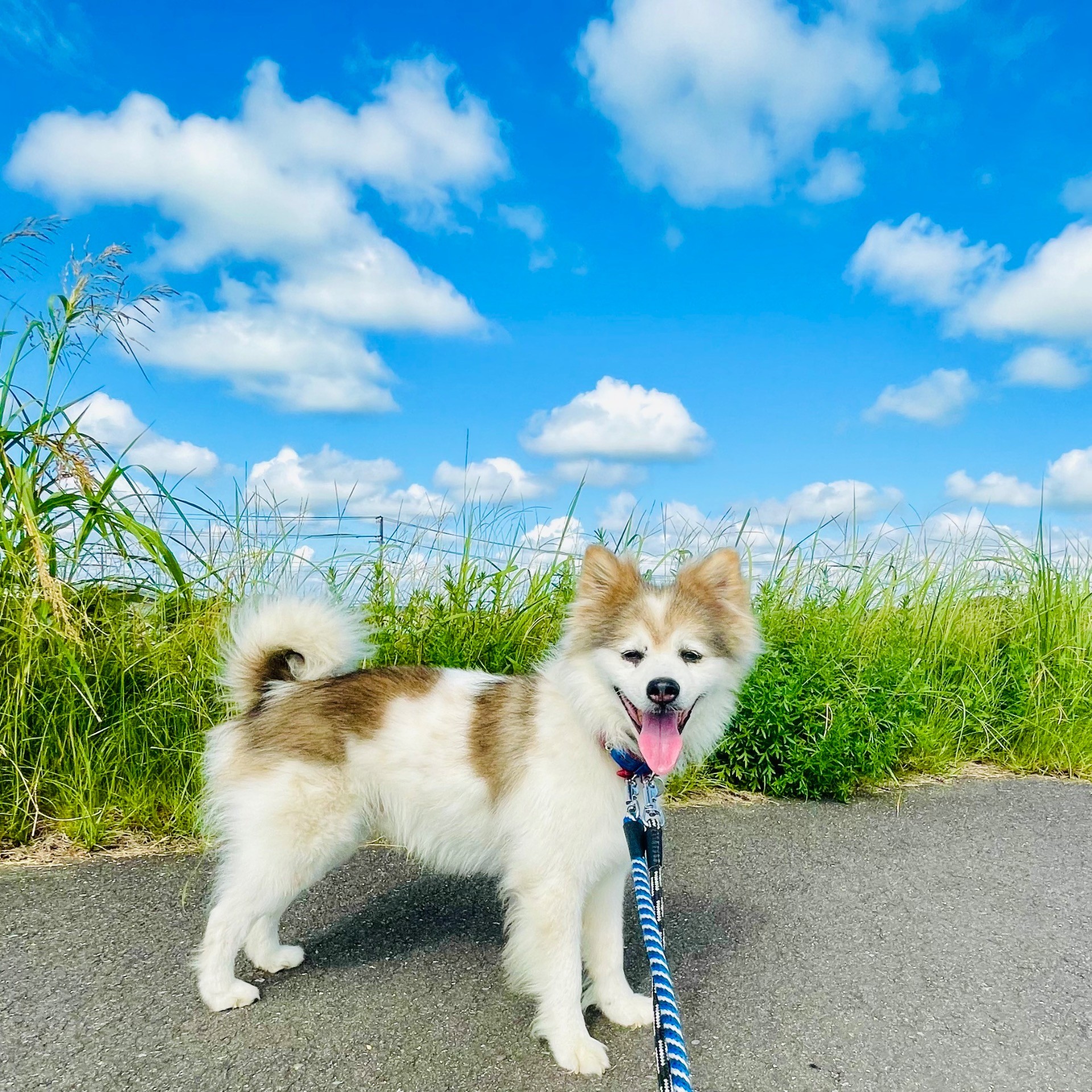 本当は甘えん坊な可愛い子
