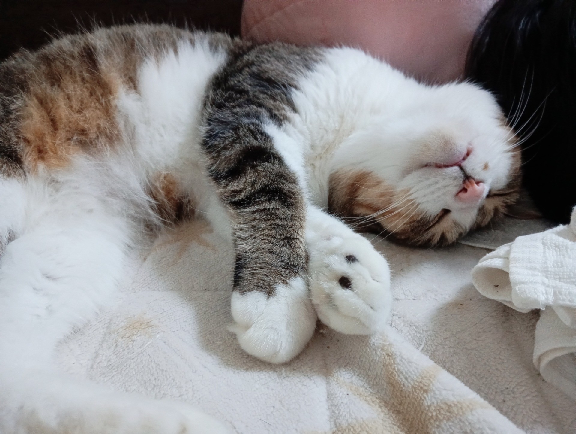 むにゃむにゃ