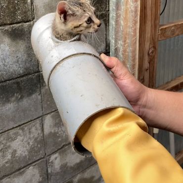 もう30分ぐらい経ってるんですけど…
