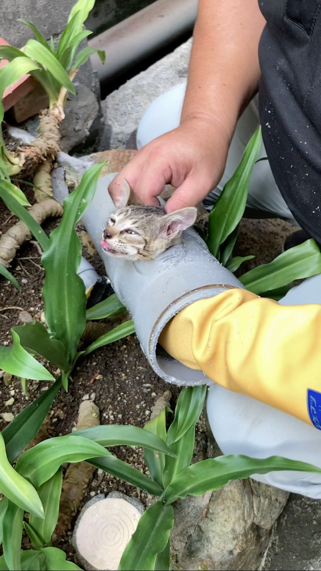 そこ、押すなって！