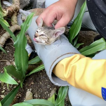 そこ、押すなって！