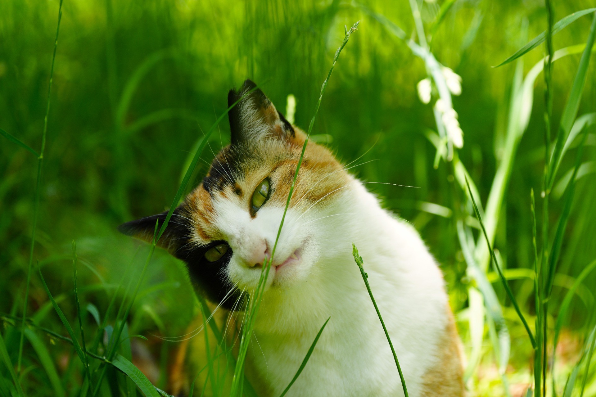 葉っぱ齧りま～す！