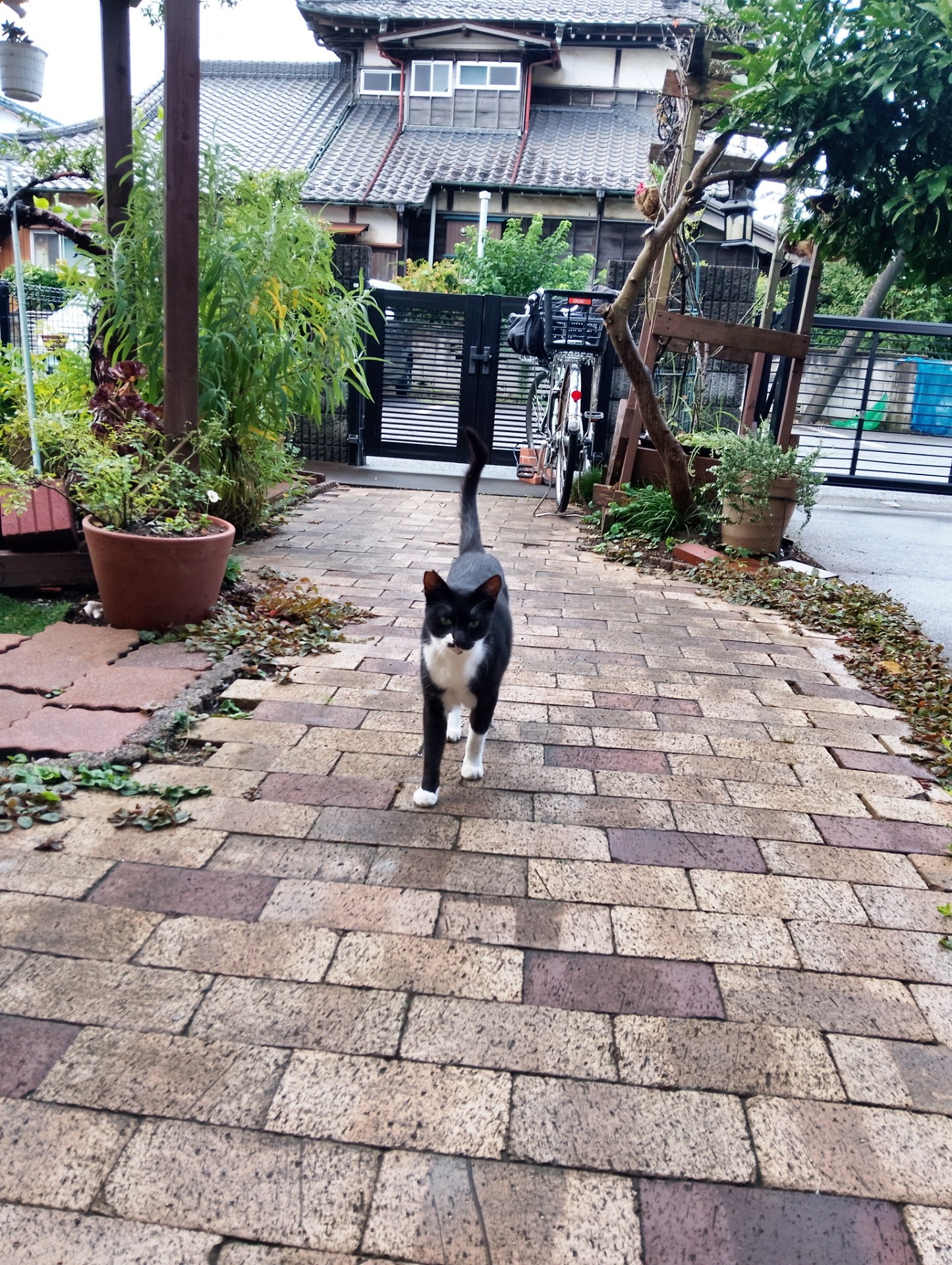 ただいまー