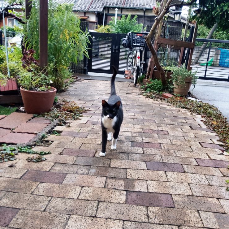 ただいまー