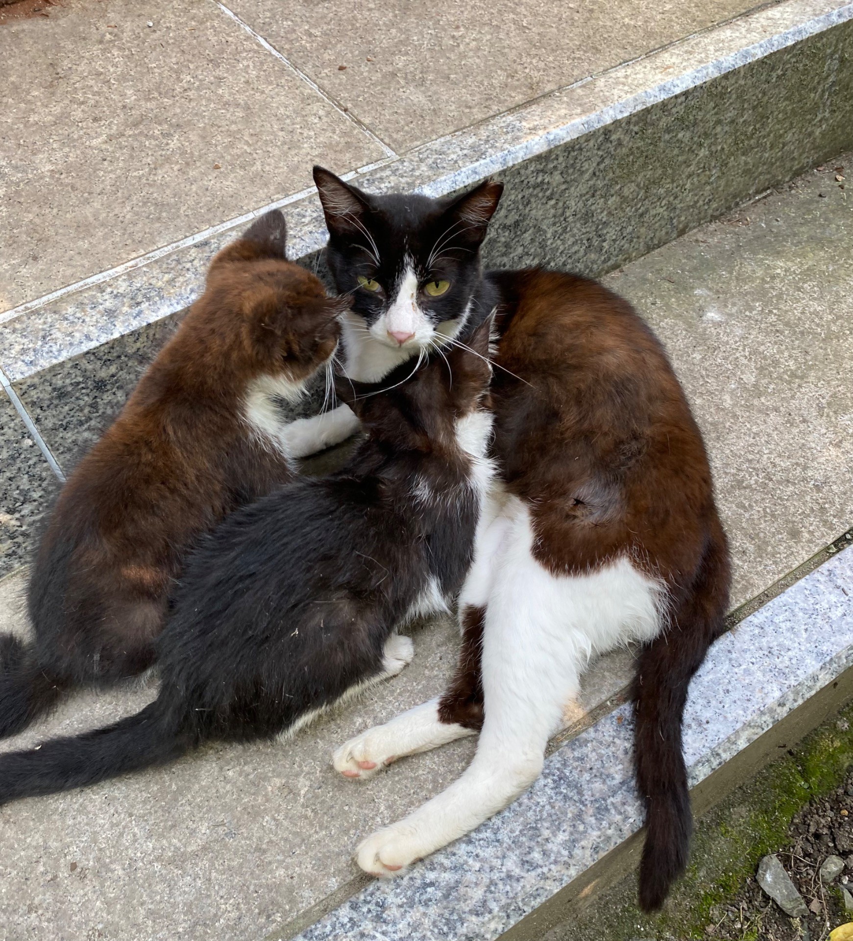 母ちゃん待ってたよ