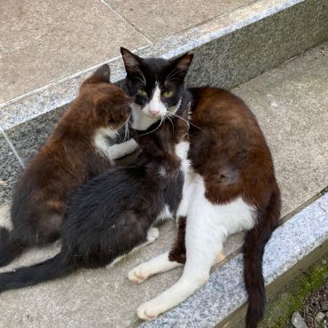 母ちゃん待ってたよ