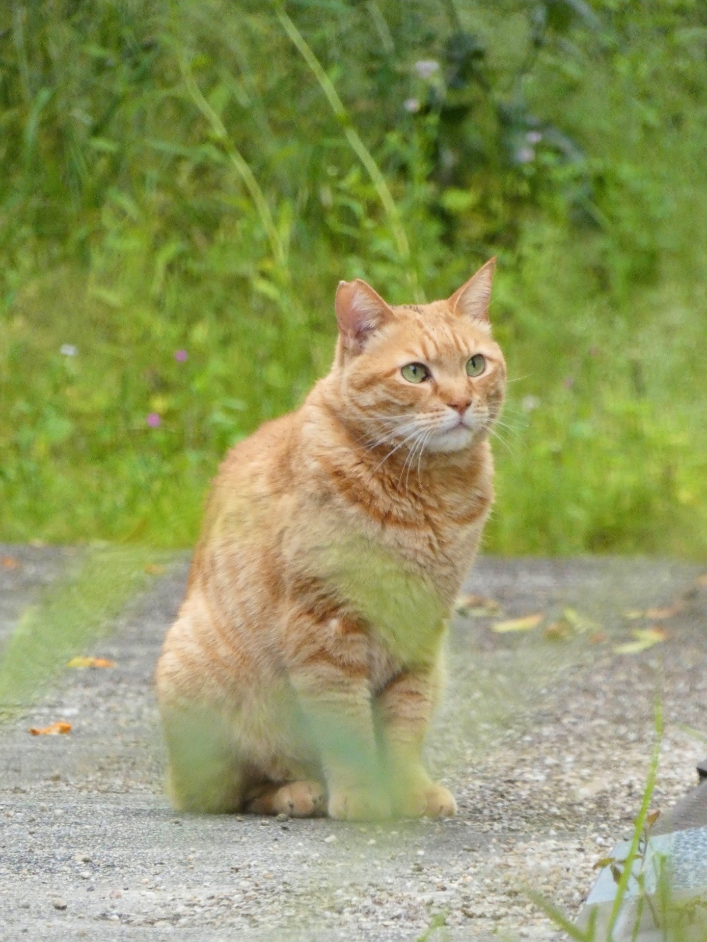 生まれ変わり